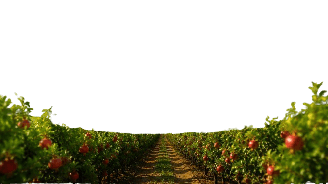 Footer Background